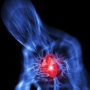 썬휘트니스 이미지