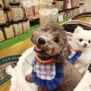 반려마루 동물병원 이미지