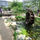 우포늪생태관 이미지