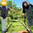 나라애견 이미지