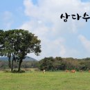 정우성목장 이미지