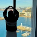 시타딘커넥트호텔 하리 부산 | 부산 영도 가성비 오션뷰 숙소 [시타딘커넥트호텔 하리 부산]