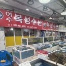 복성수산 | 대천항 수산시장 -59호 복성수산 보령여행 대하 오징어회 내돈내산 후기