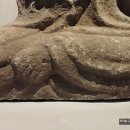 원광대학교 박물관 이미지