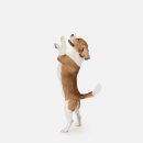 도그앤캣 동물병원 이미지