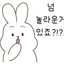 로더헤어 이미지