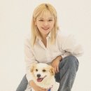 정연 스포츠경향