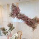 주님앞에제일교회 이미지