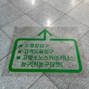 고양체육관 농구장2 이미지