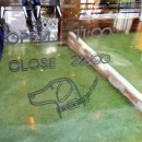 디반식스 이미지