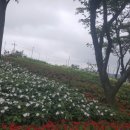 궁남지 문화관광해설사 이미지