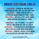 문쌤논술국어