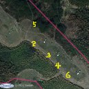 김극뉴 묘역 이미지