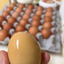 신선한 아침 이미지