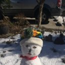 고산촌 Daum카페