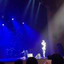 사운드 포레스트 익산 스탠딩에그 이미지