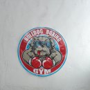 불독복싱 이미지