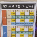 힐링온천스포렉스