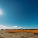 은화목장 이미지