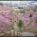 원미두부마을 이미지