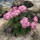 범성 정형외과의원 이미지