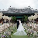 달꿈호텔 이미지