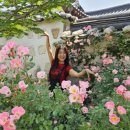 선샤인스포츠 이미지