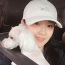 벨라루시펫살롱 이미지