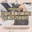 에스동물의료센터에서 노령견 건강검진 받고 신길S동물의료센터에서 애견미용도 하고 넘 뿌듯🩷내돈내산후기