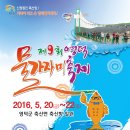 영덕 물가자미 축제 네이버블로그