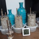 샤인스타트 이미지