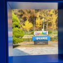 청소년수련관 본관(3층) | 안산상록청소년수련관을 찾아가서