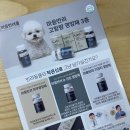 마음반려 동물의료원 | 마음반려 고함량 반려동물 기관지영양제 후기