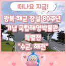 삼남개발 | 광복·해군 창설 80주년 기념 국립해양박물관 특별전 “수군, 해전”