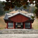 정릉50 이미지
