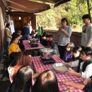 도평초등학교 이미지