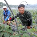 한국미래농업고등학교 이미지