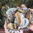 옥암로 138 이미지