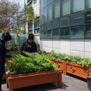 본오3동주민센터 이미지