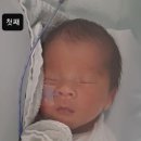 부산물세탁 | 퐁글몽글 육아일기 ep.2 그리고 NICU 한 달 반, 생후 0~45일 선천성담도폐쇄증 의심, 호모시스테인 증가...