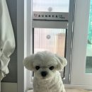 주식회사타비오 이미지