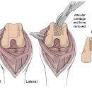 24시마음든든동물병원 이미지