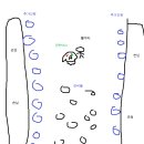 다와인력