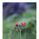 아바호텔 이미지