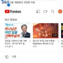 왕거미 이미지