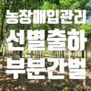 음지리농장 이미지