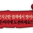 헤바베오 (Hebavepo) 이미지
