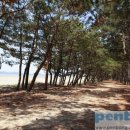 현재펜션민박 이미지