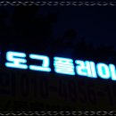 플레이도그 이미지