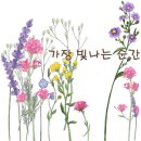 공인중개사사무소담장 이미지